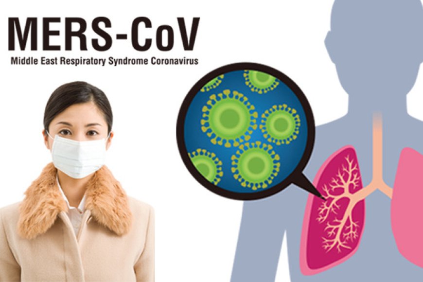 MERS-CoV: Analysis of Novel Coronavirus Strains: What We Got Know