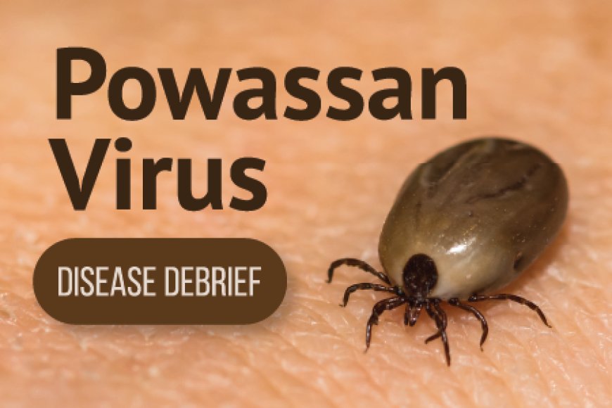 Emerging Viruses: What We Know About Powassan Virus So Far